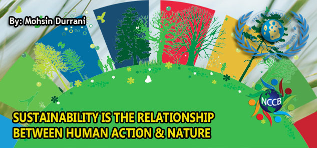 SUSTAINABILITY IS THE RELATIONSHIP  BETWEEN HUMAN ACTION & NATURE